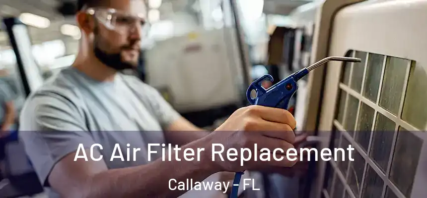  AC Air Filter Replacement Callaway - FL