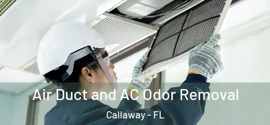  Air Duct and AC Odor Removal Callaway - FL