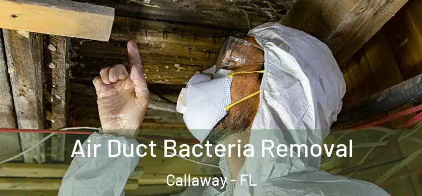 Air Duct Bacteria Removal Callaway - FL