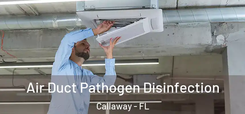 Air Duct Pathogen Disinfection Callaway - FL