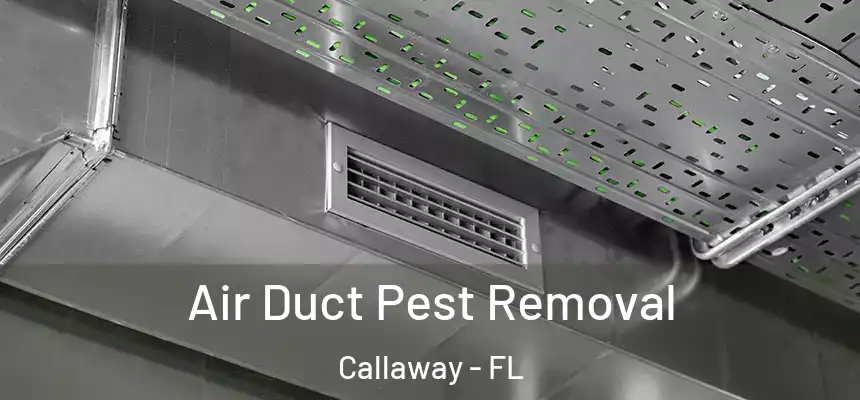 Air Duct Pest Removal Callaway - FL