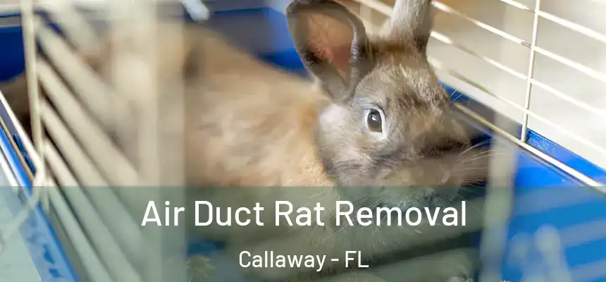 Air Duct Rat Removal Callaway - FL