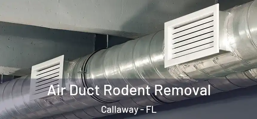 Air Duct Rodent Removal Callaway - FL