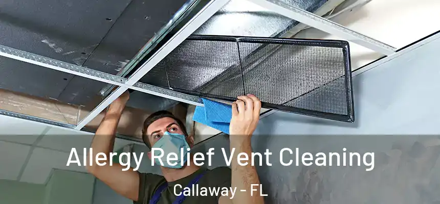  Allergy Relief Vent Cleaning Callaway - FL