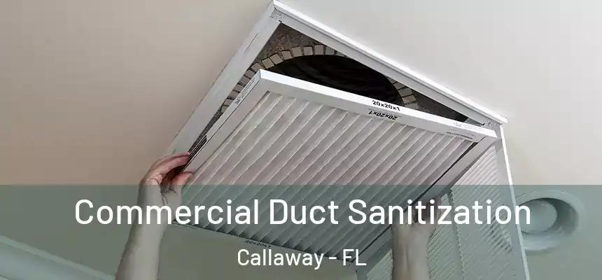 Commercial Duct Sanitization Callaway - FL