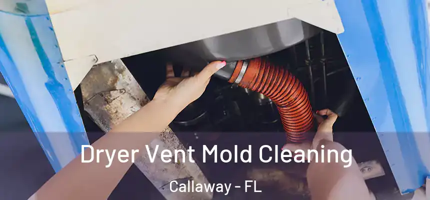 Dryer Vent Mold Cleaning Callaway - FL
