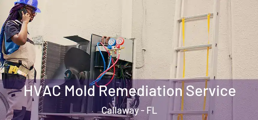 HVAC Mold Remediation Service Callaway - FL