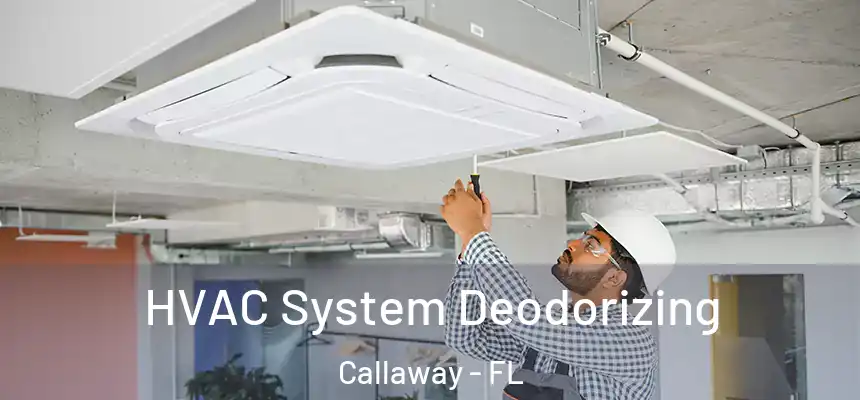  HVAC System Deodorizing Callaway - FL
