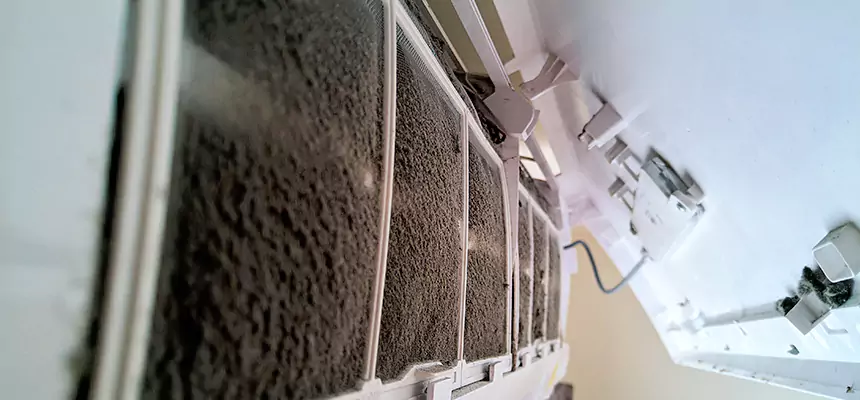 Preventive Air Duct Bacteria Removal in Callaway