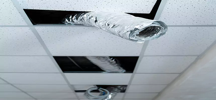 Affordable HVAC Sanitizing After Pest Removal in Callaway