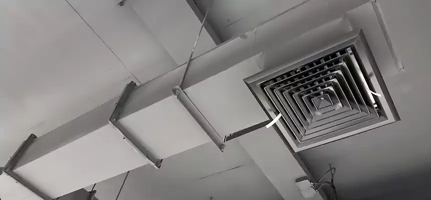 Our Rodent Droppings In Vents Services in Callaway, FL