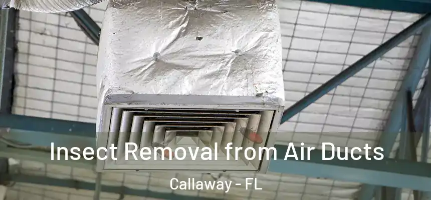 Insect Removal from Air Ducts Callaway - FL