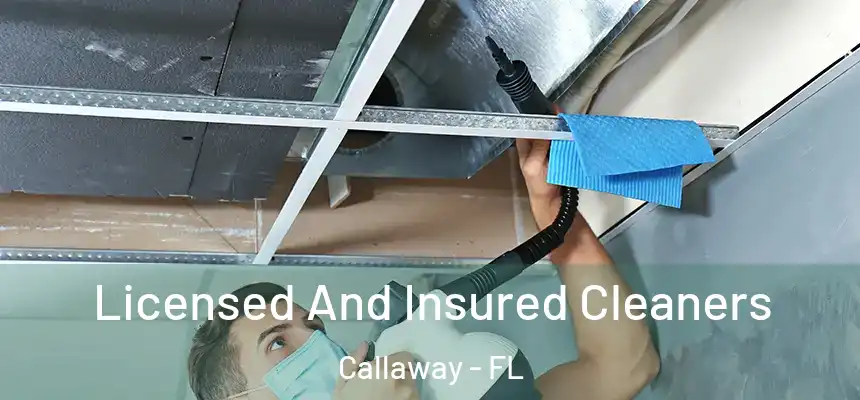  Licensed And Insured Cleaners Callaway - FL