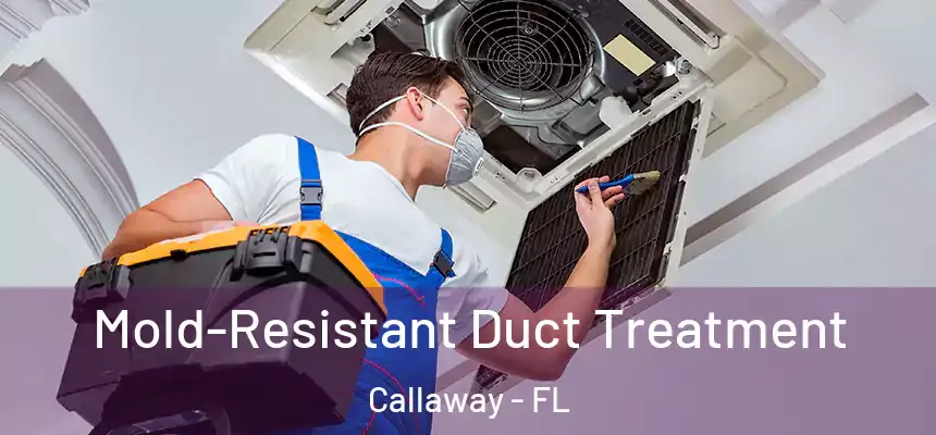 Mold-Resistant Duct Treatment Callaway - FL