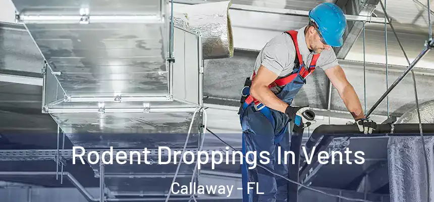  Rodent Droppings In Vents Callaway - FL