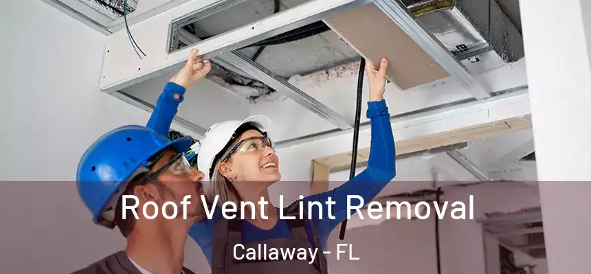  Roof Vent Lint Removal Callaway - FL