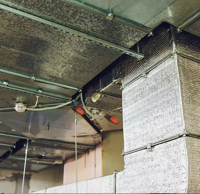 Why Homeowners & Businesses Trust Us in Callaway, FL?