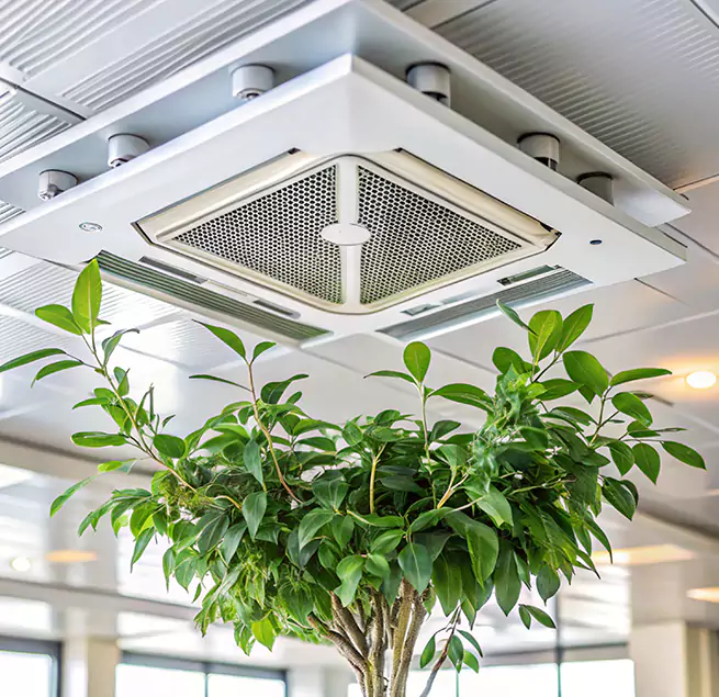 Why Homeowners & Businesses Trust Us in Callaway, FL